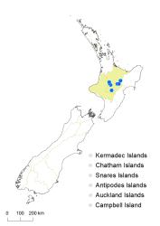 Hypericum minutiflorum distribution map based on databased records at AK, CHR and WELT.
 Image: K. Boardman © Landcare Research 2014 